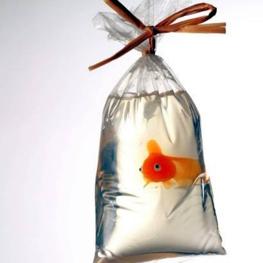My Pet Fish® Soap In A Bag