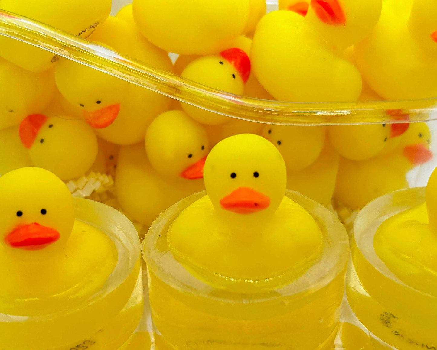 Rubber Duckie Novelty Soap & Toy