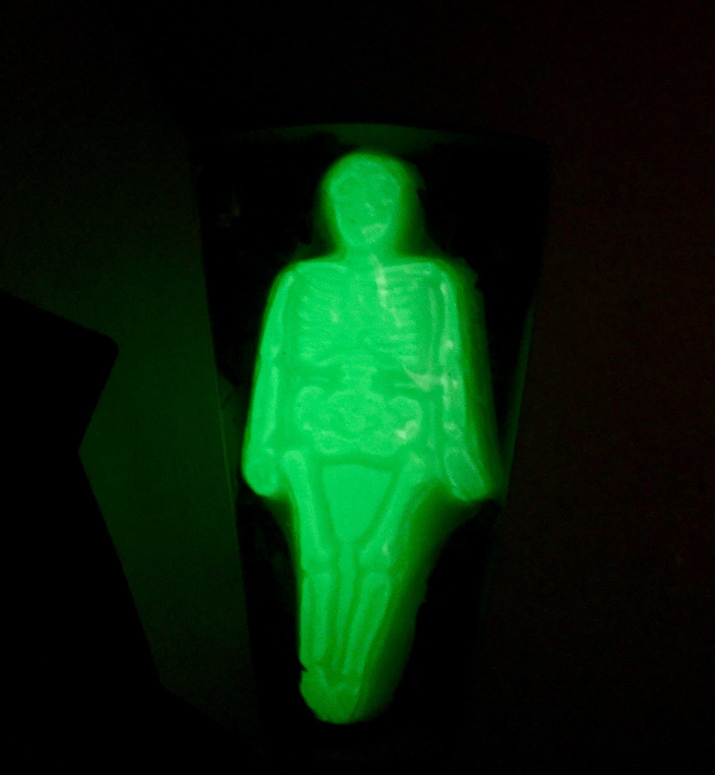 Glow in the Dark Skeleton in Coffin Box