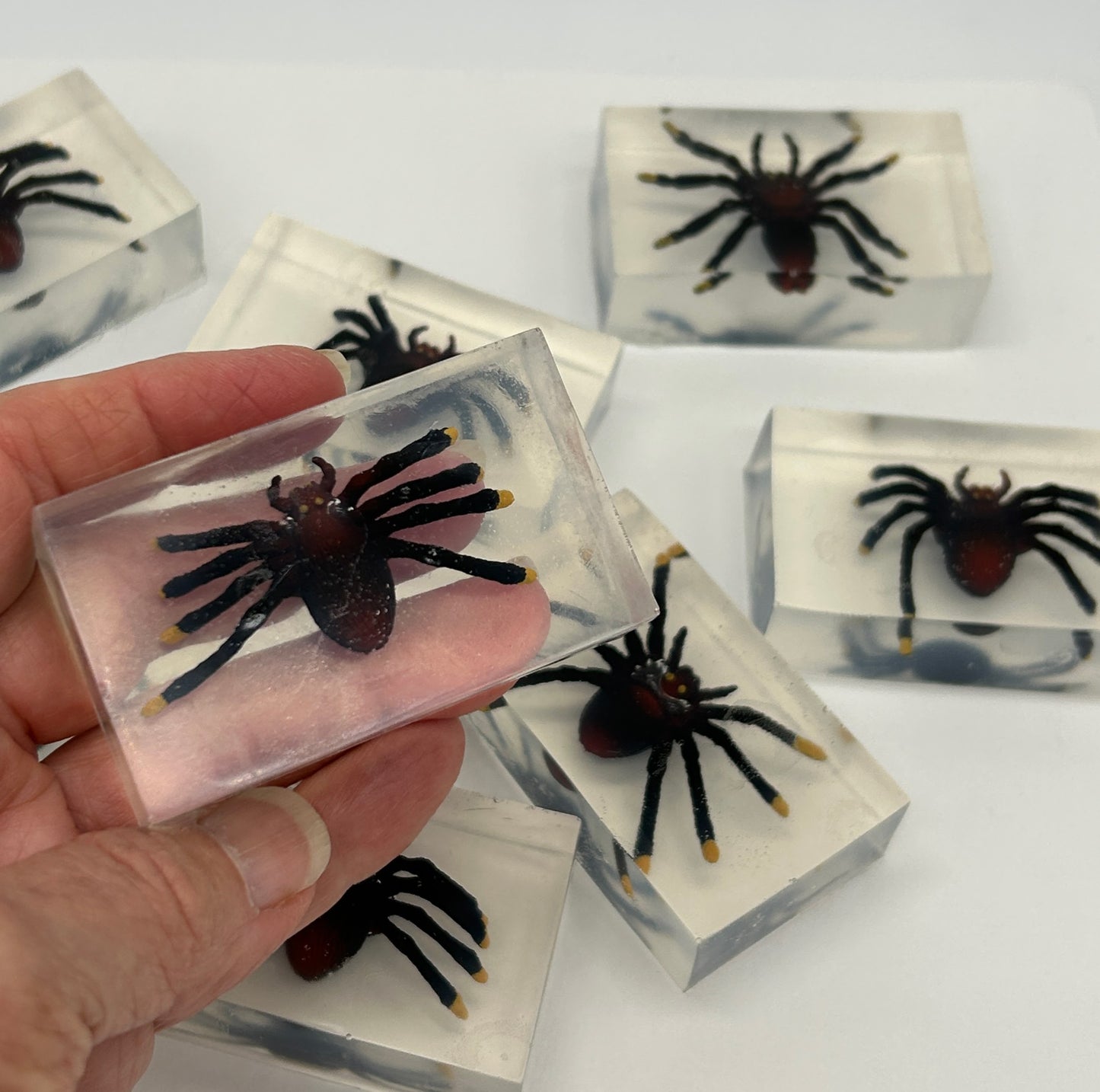 Spiders In Your Soap! - Grab 'n Go Minis!