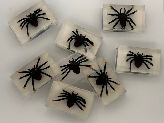 Spiders In Your Soap! - Grab 'n Go Minis!