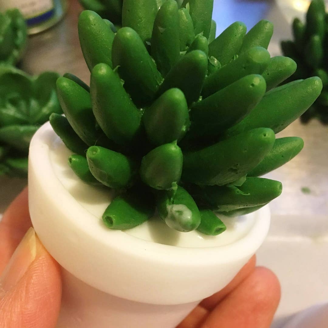 Succulent Soap/Bathroom Decor/Farmhouse Bathroom/Individual