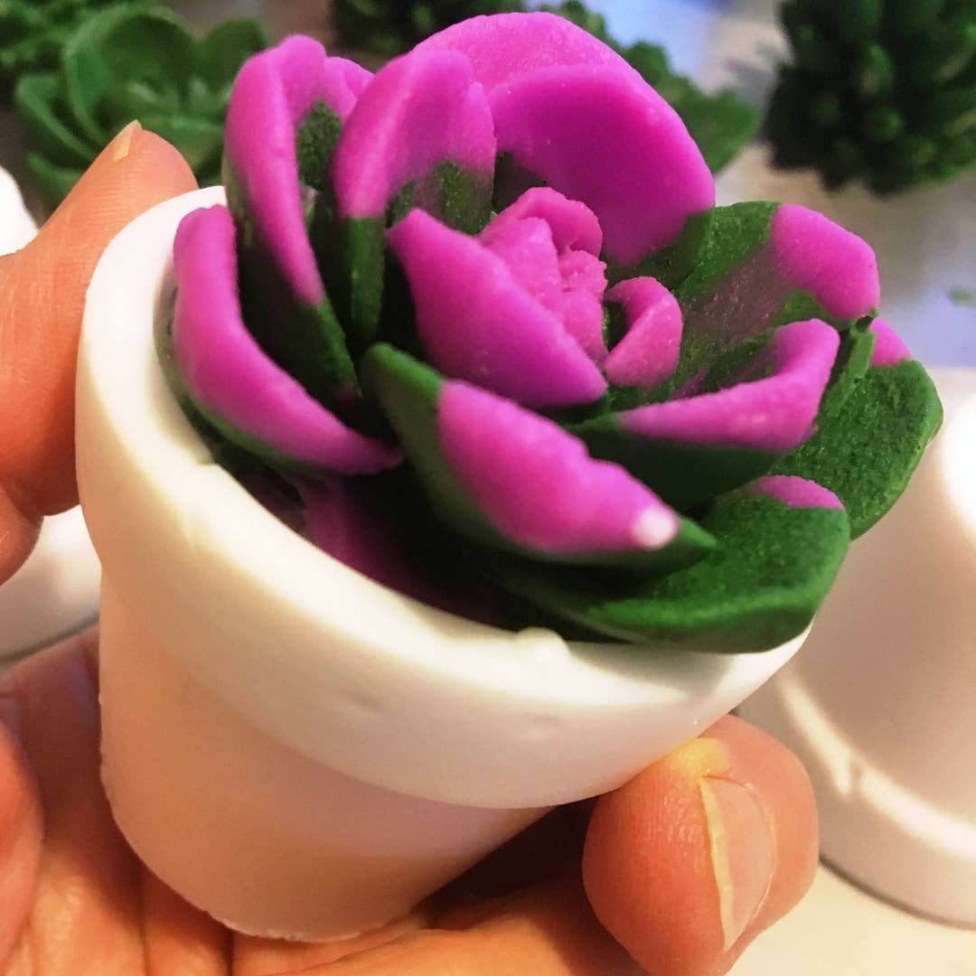 Succulent Soap/Bathroom Decor/Farmhouse Bathroom/Individual