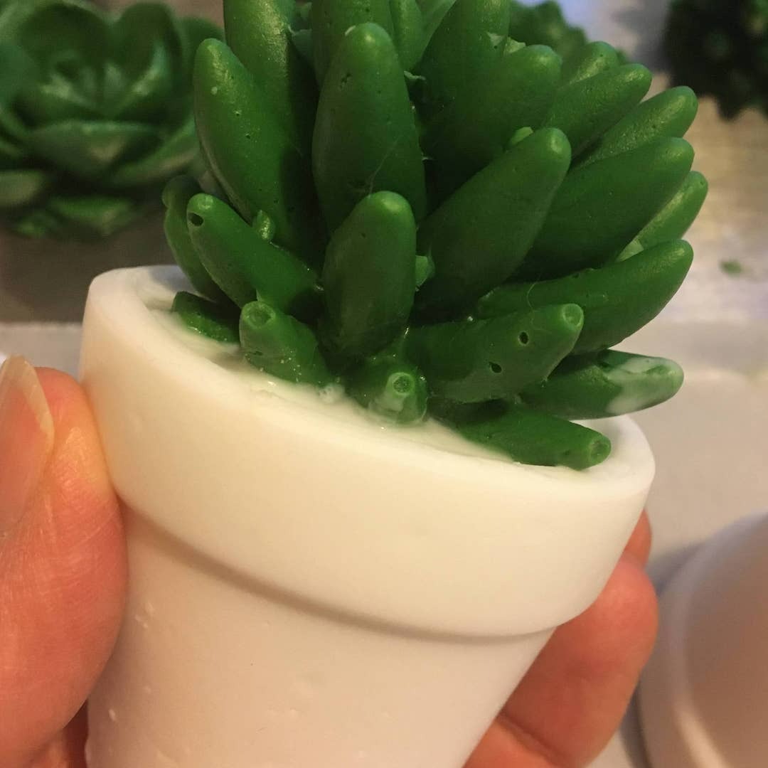 Succulent Soap/Bathroom Decor/Farmhouse Bathroom/Individual