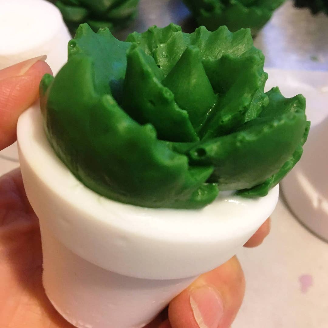 Succulent Soap/Bathroom Decor/Farmhouse Bathroom/Individual