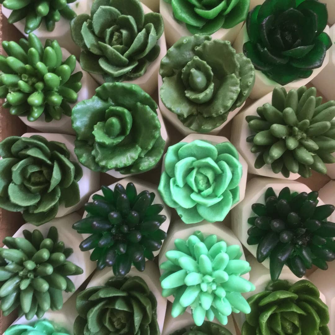 Succulent Soap/Bathroom Decor/Farmhouse Bathroom/Individual