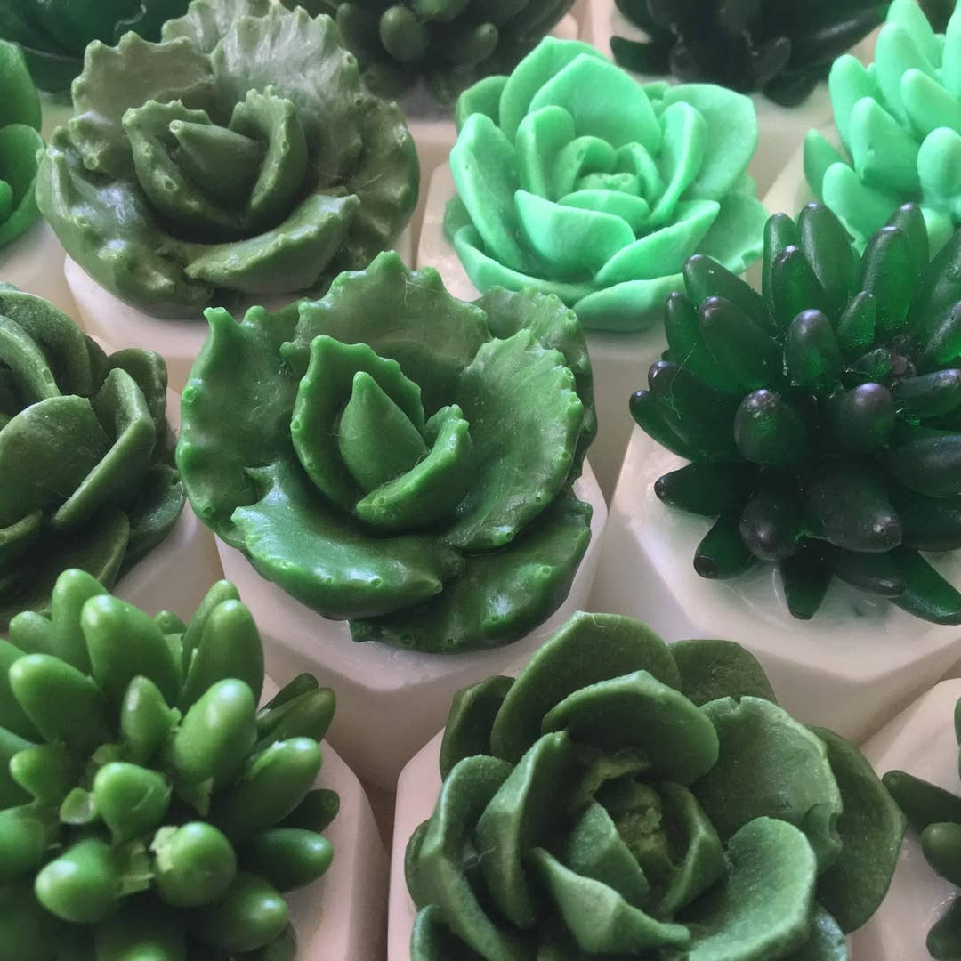 Succulent Soap/Bathroom Decor/Farmhouse Bathroom/Individual