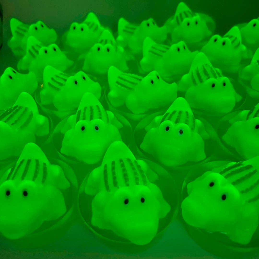 alligator-glow-toy-soap group glowing